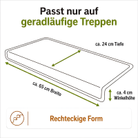 Stufenmatten DAS TEPPICHWERK Uni Rechteckig Einzeln und SparSets 1-30 Stück