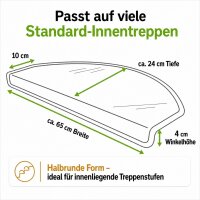 Stufenmatten Ariston Halbrund 65x24cm Trittfläche Dunkelgrau 16 Stück